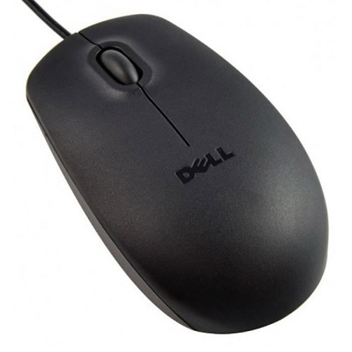 Dell Souris